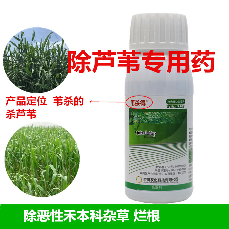 杀芦苇专用除草剂池塘河道藕田公园果园大豆蔬菜除芦苇药蒲草农药 250