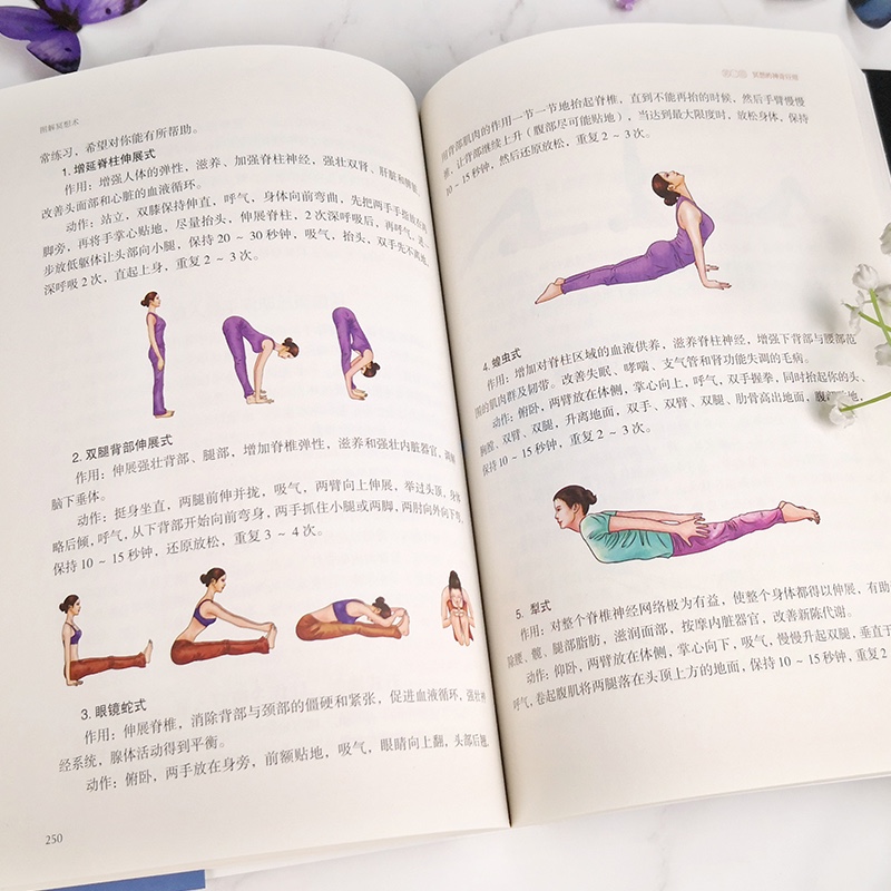 图解冥想术详情图