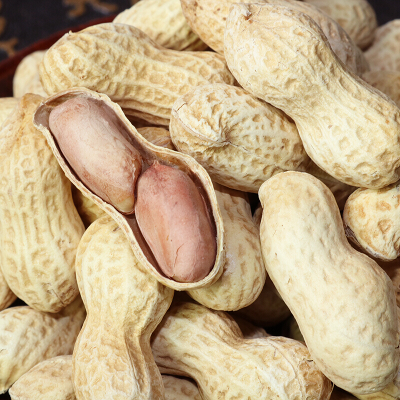 虎钢馋新干炒花生原味带壳河南沙土炒熟花生散装现炒现卖10斤装 原味