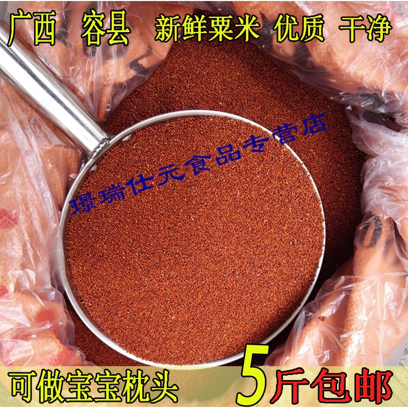 维霆广西特产鸭脚粟龙爪粟 鸡爪粟 拳头栗 红粟米掺子5斤