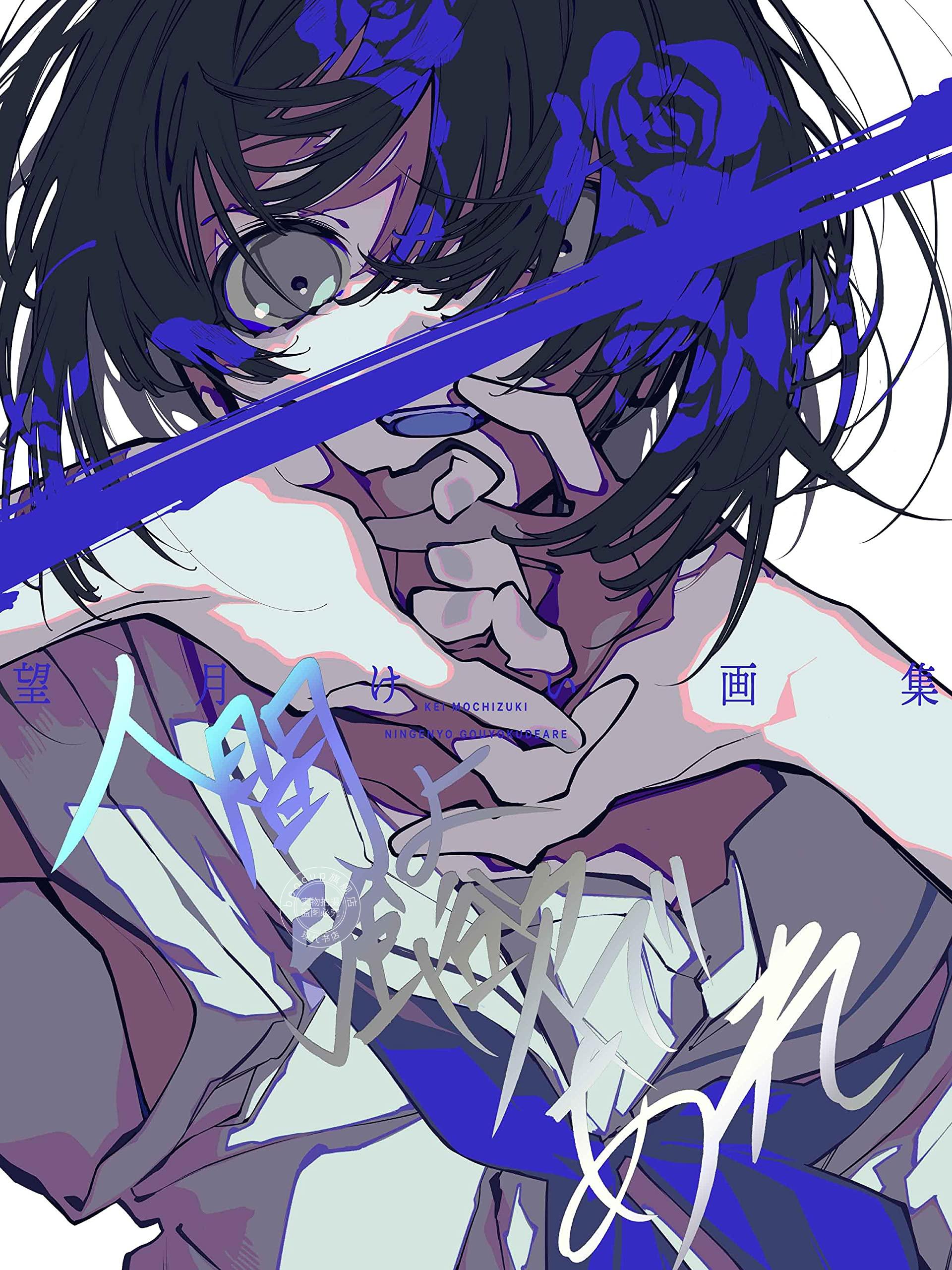 现货 进口日文 望月けい1st画集 人間よ強欲であれ P站插画师望月けいFGO 初音未来
