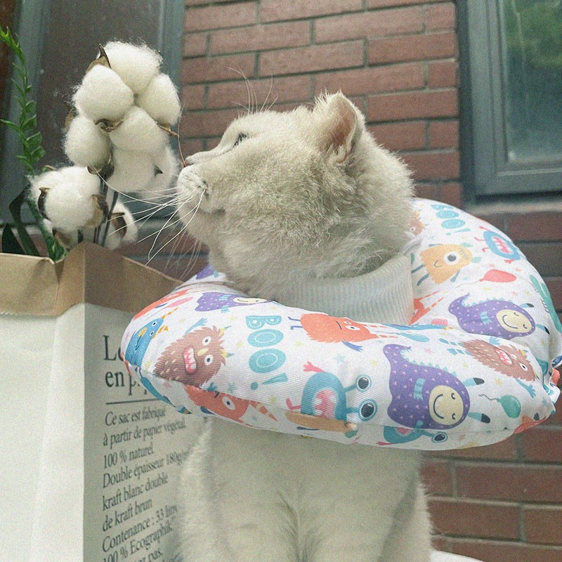 aipetofstory全防水舔不到猫咪伊丽莎白圈易清洗防舔咬狗狗项圈母猫绝育用品高性价比高么？