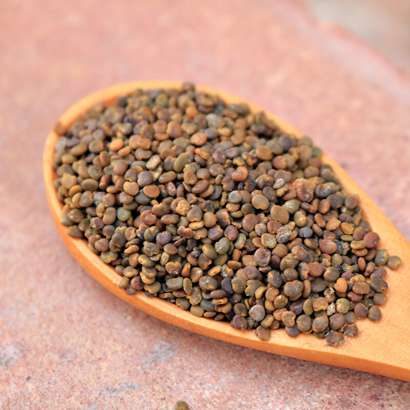 沙苑子药食滋补500g沙苑子茶沙菀子粉可搭苁蓉蒺藜