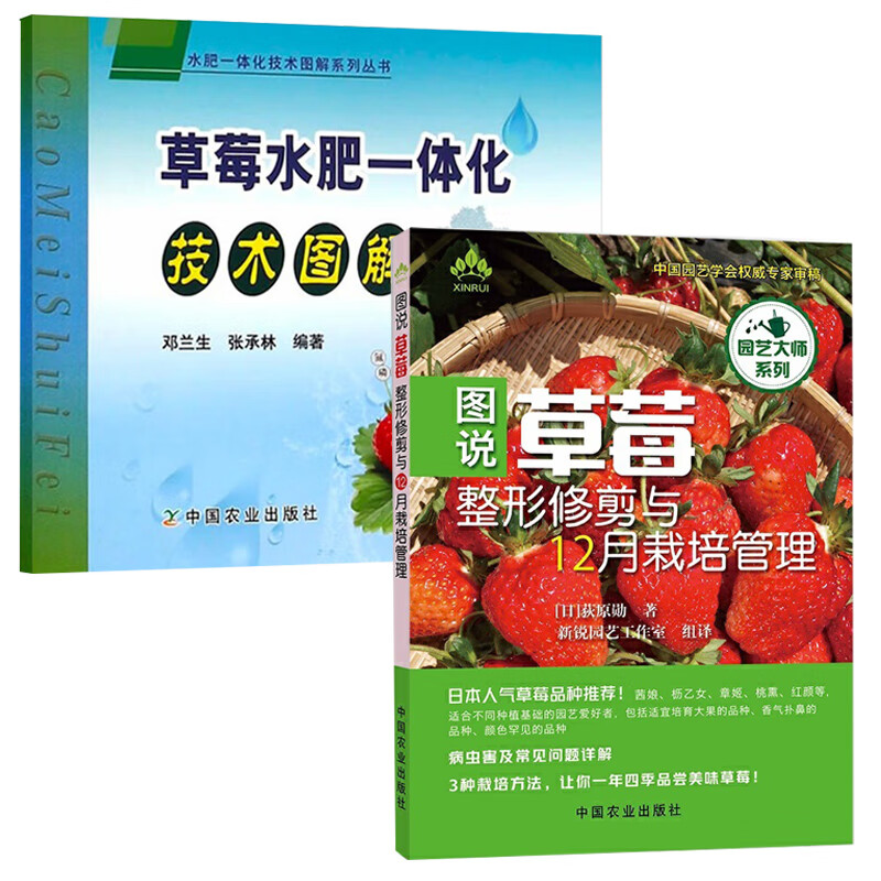 图说草莓整形修剪与12月栽培管理+草莓水