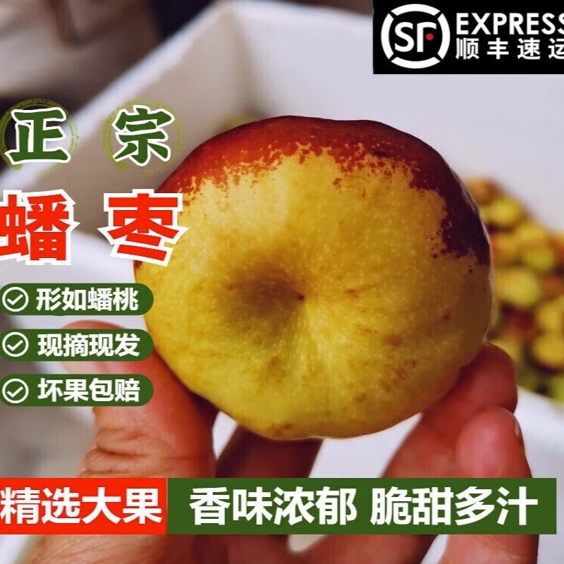 昕風尚新疆蟠棗 新鮮水果2斤特級大果應季整箱冬棗蜜棗脆棗甜棗孕婦水果 3斤裝
