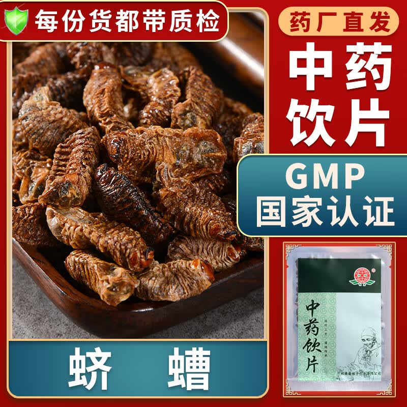 明目蛴螬中药材大药房中药店抓药中草药店别名白土蚕核桃虫鸡母虫地蚕