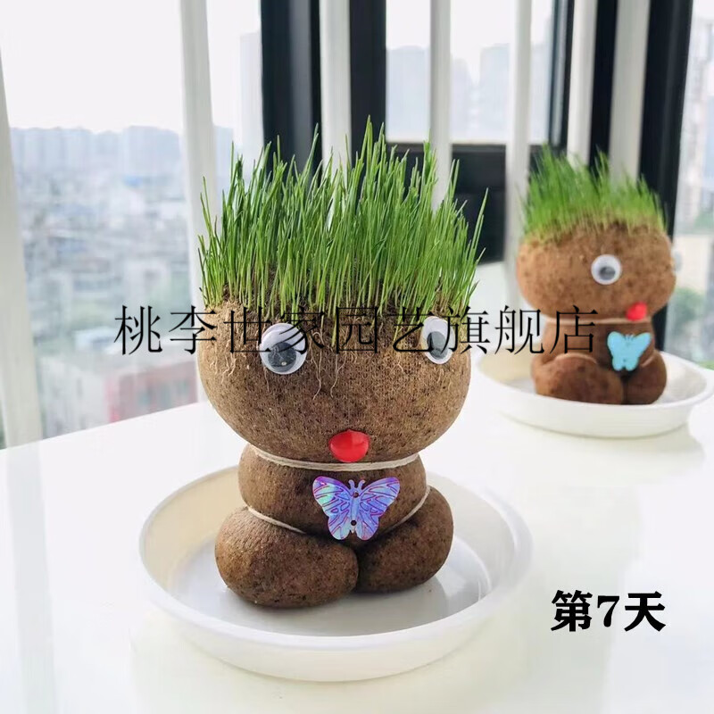 植发的托(植发治疗头发脱发)
