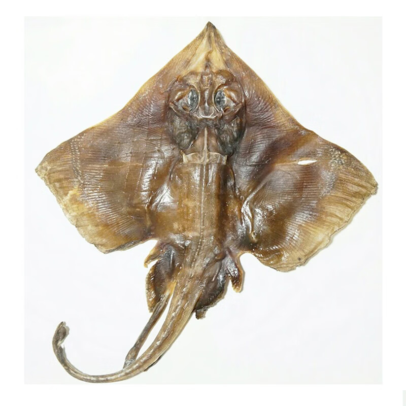 鲜太公渔民自晒老板鱼干 咸鱼干 海鲜干货 老板鱼 魔鬼鱼 460g左右/条