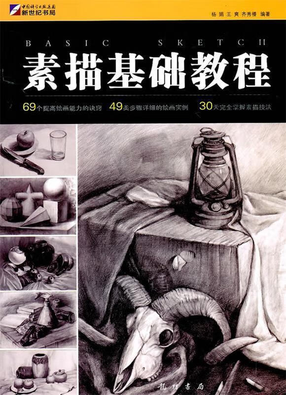 素描基础教程 杨娟,王爽,齐秀椿 编著【正版书】