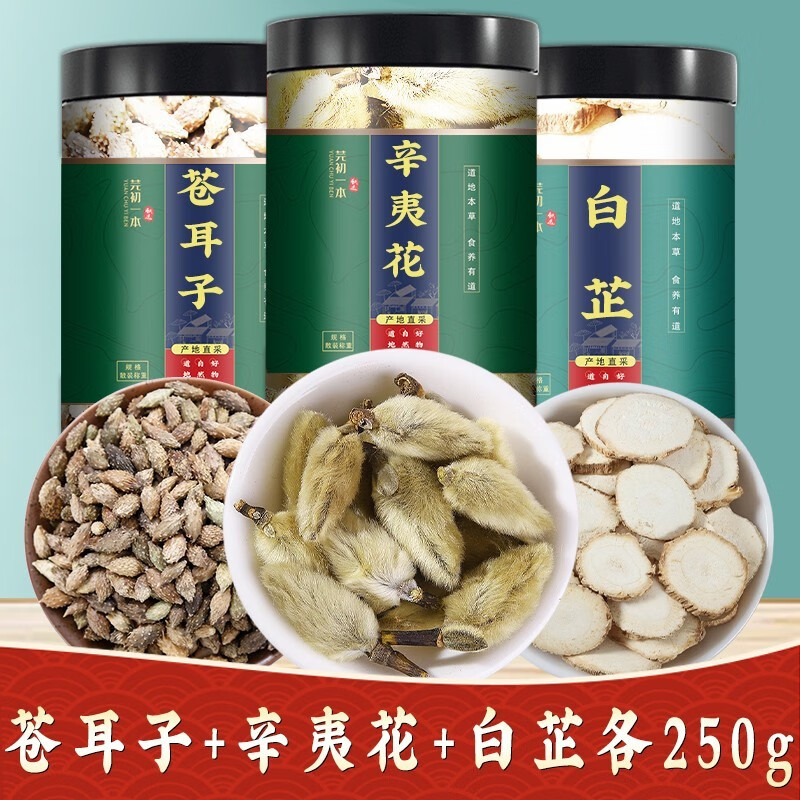 芫初一本辛夷花茶木兰望春花鼻炎配苍耳子白芷泡水可磨辛夷花粉 辛夷