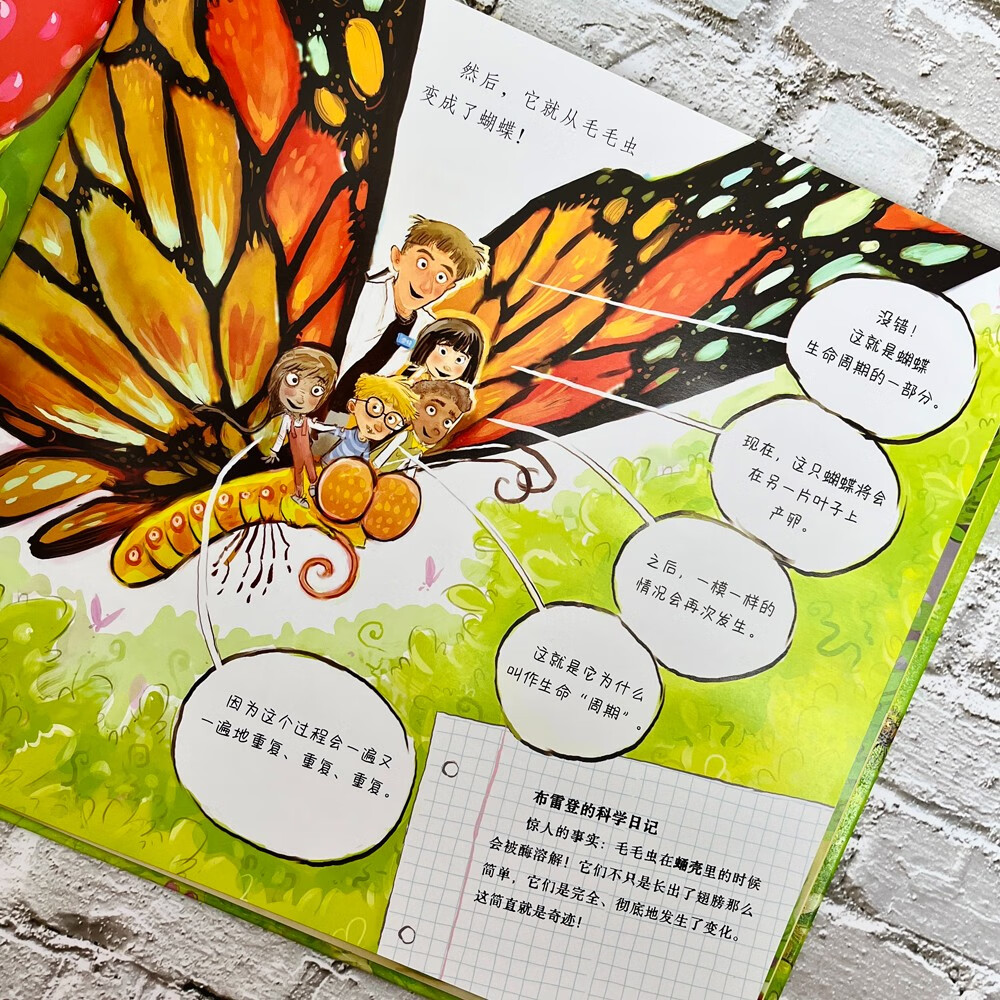 《科学博物馆奇妙一小时》（全四册）详情图