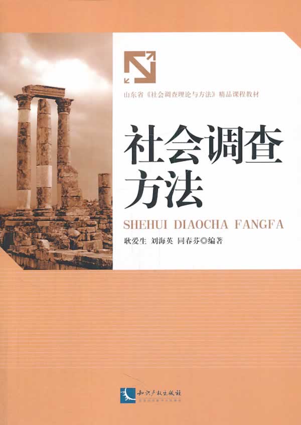 社会调查方法【正版图书】