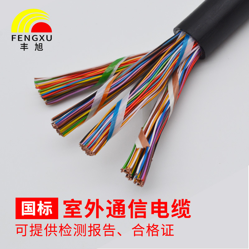 丰旭 【国标保检测】HYA室外大对数通讯电缆 市话通信电话线通信电缆 WDZ-HYA53 10*2*0.5线径 100米