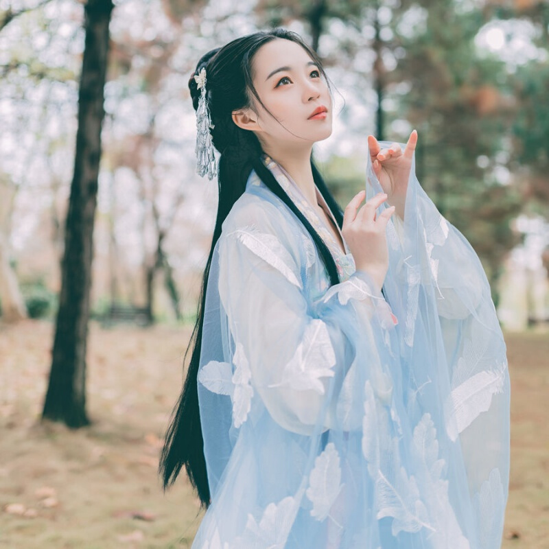 雪衣王春季新款翎羽改良汉服女日常中国风广袖刺绣羽毛大袖衫齐胸襦裙