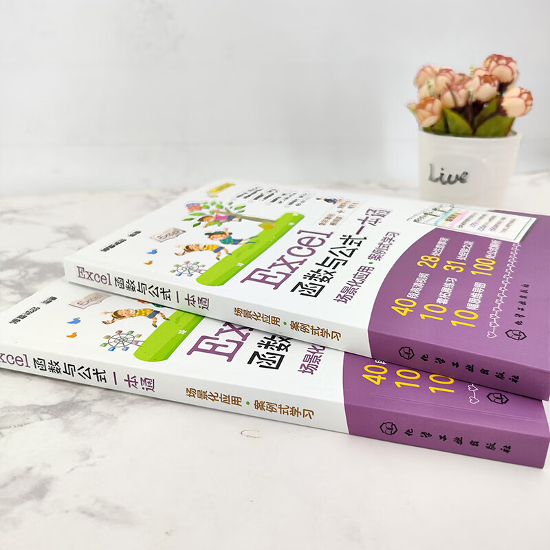 Excel函数与公式一本通