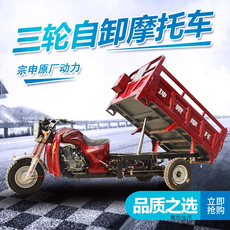 隆鑫动力燃油汽油三轮摩托车家用自卸翻斗水冷五轮载重王农用车 三轮