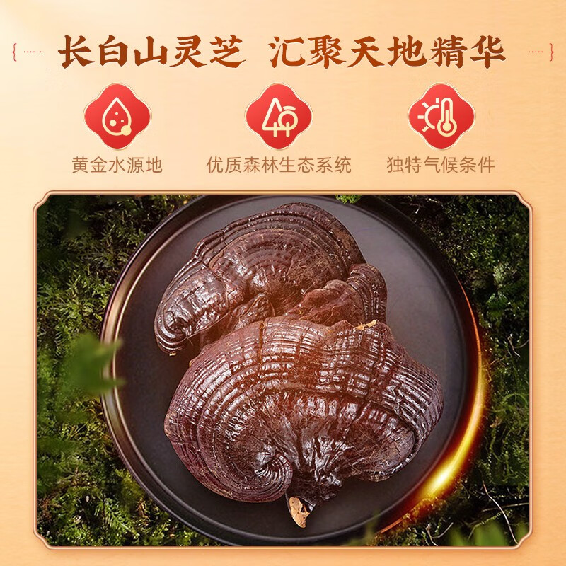 雷允上 破壁灵芝孢子粉60g长白山灵芝礼品探病补气安神健脾益肺中药饮片 【30天用量】破壁灵芝孢子粉1g*60袋*1盒