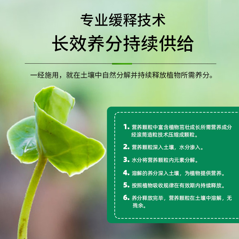 花大师免稀释植物营养液通用型绿植发财树绿萝花卉水培富贵竹专用叶面肥 【花友推荐】免稀释营养液+通用花肥