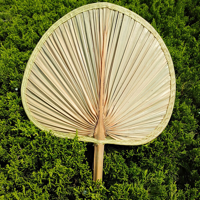 澳颜莱老人手工蒲草扇 扇子大蒲扇芭蕉扇济公扇葵扇老人老式手工蒲