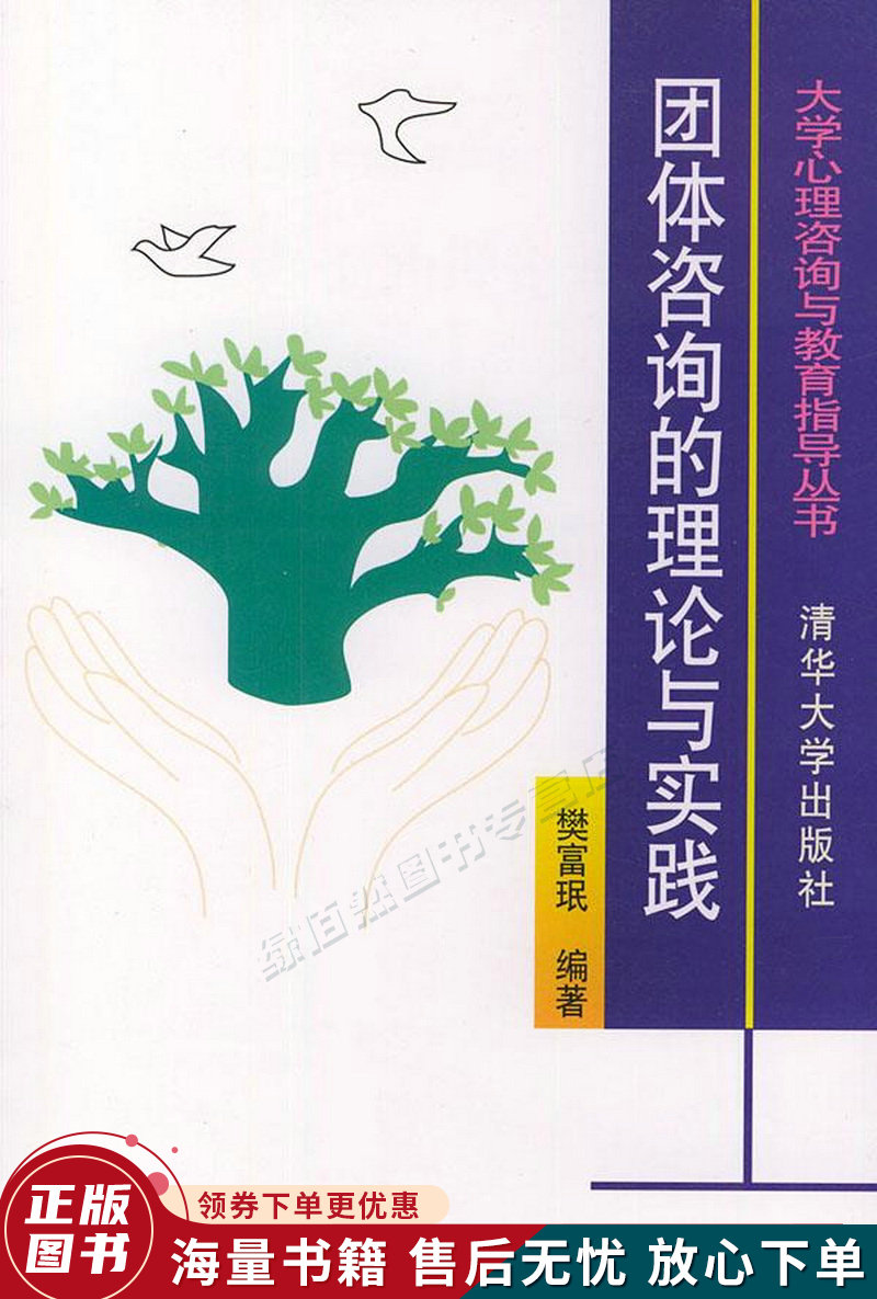 团体咨询的理论与实践