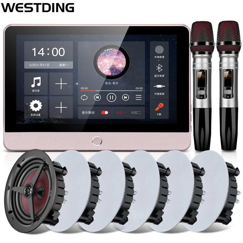 威斯汀（WESTDING）XT12智能家居家庭背景音乐主机系统套装 家庭影院音响组合 嵌入式吸顶喇叭 XT12+928*6