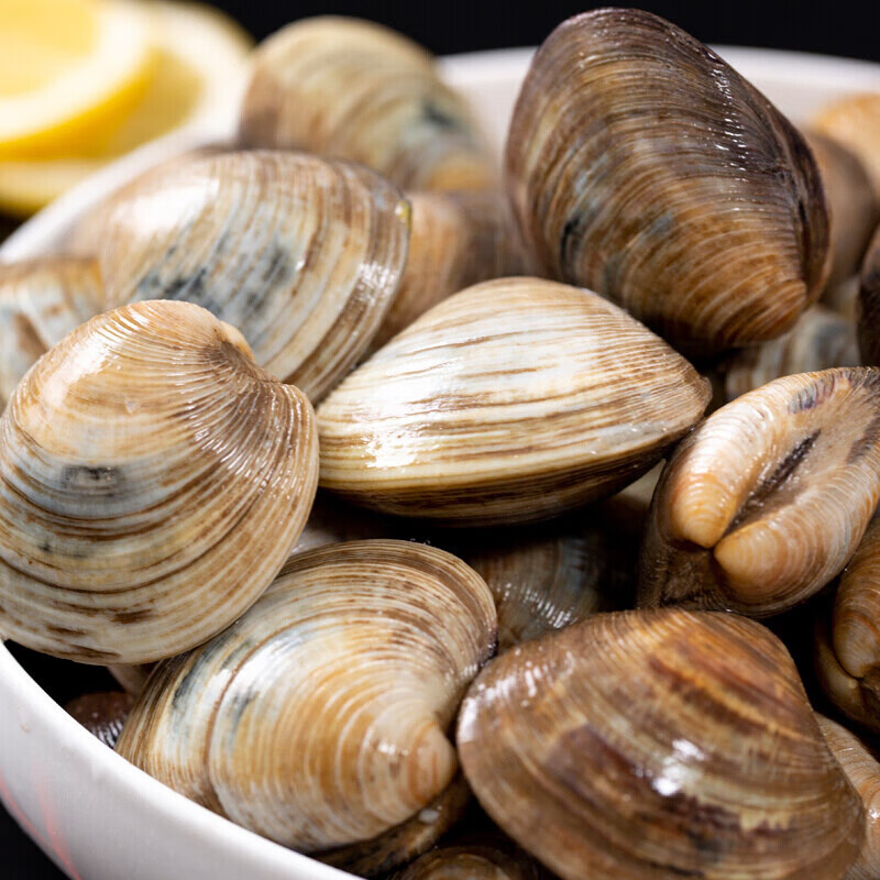 尹福记蛤蜊海鲜水产花甲蛤蜊花蛤花哈文蛤蜊美贝新鲜蚬子 2斤装