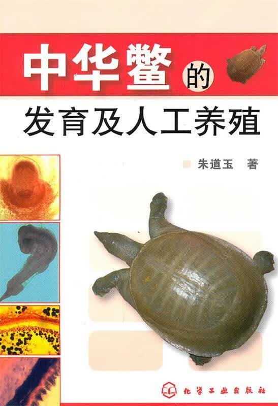 中华鳖的发育及人工养殖