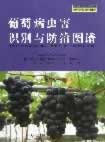 葡萄病虫害识别与防治图谱【正版图书】