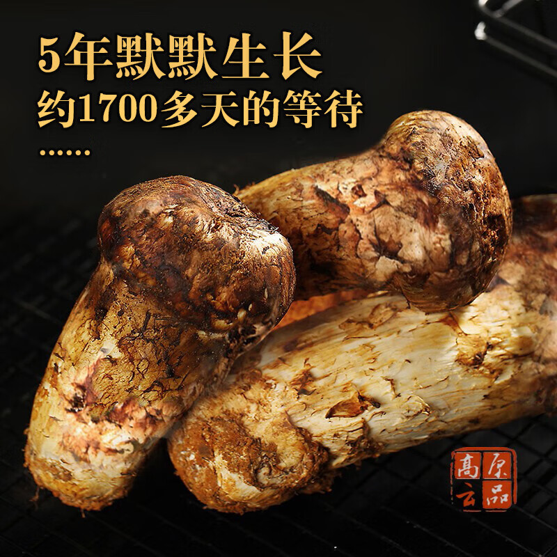 高原云品【松茸新鲜】香格里拉一级不开伞 新鲜松茸菌 顺丰速达 送礼品袋 10-13厘米500克-京东-618/双十一/双11-京东折扣隐藏大额优惠券