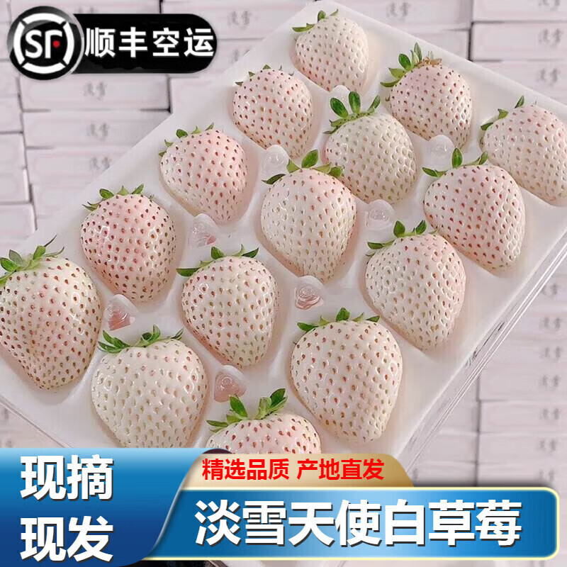 隆百味【顺丰】日本淡雪草莓奶油白草莓天使白雪公主新鲜现摘甜草莓水果 500g中果（两盒30颗装）