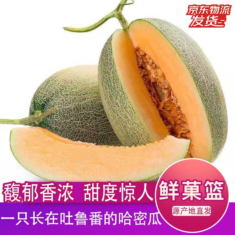 鲜菓篮 哈密瓜甜瓜香瓜新鲜水果 新疆西州蜜4-5斤装 产地鲜采