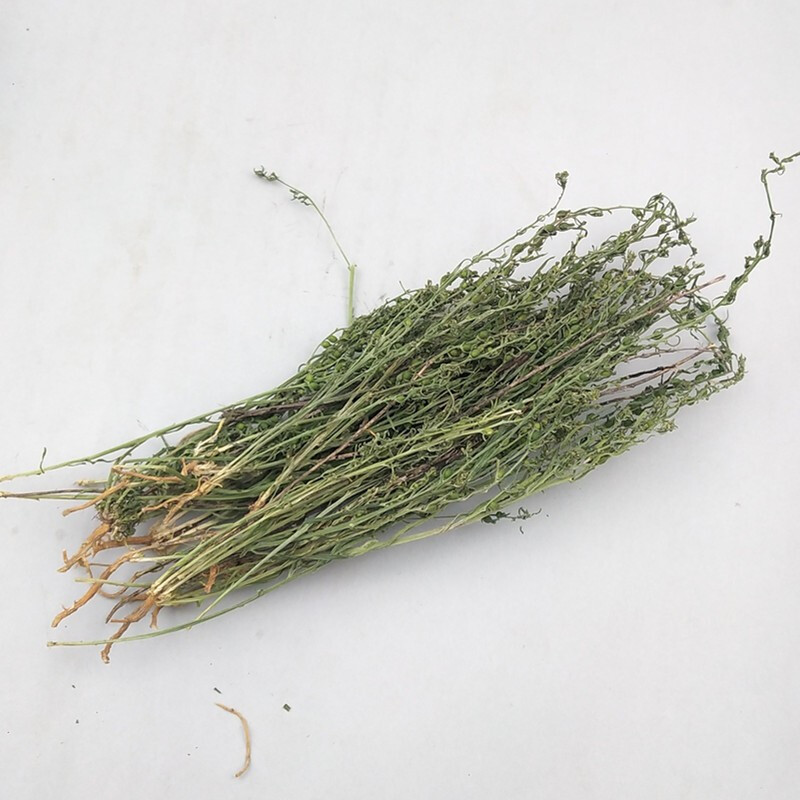 百蕊草 青龙草 百乳草小草细须草 麦黄草 50 克