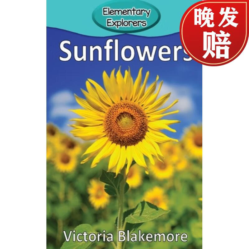 【4周达】sunflowers