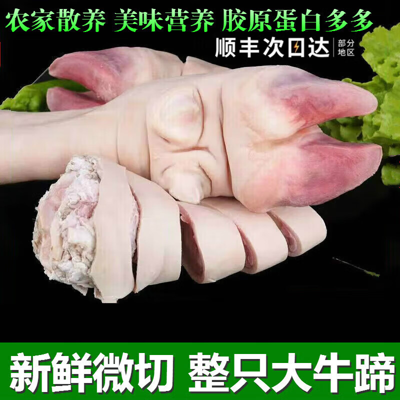 妙优可（MIAO YOUKE） 新鲜生牛掌牛蹄子整只牛脚爪子胶原蛋白自家散养黄牛带骨 微切整只牛蹄5.5斤