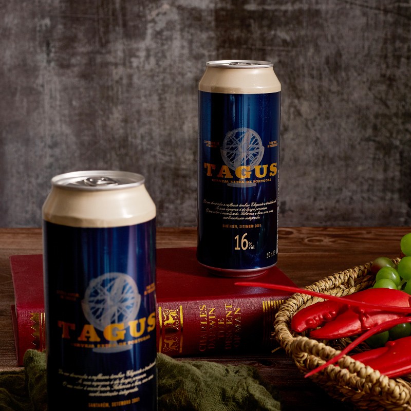泰谷（TAGUS）西班牙原装进口啤酒 16度烈性啤酒 泰谷16度 500mL 24罐 26年5月27日到期