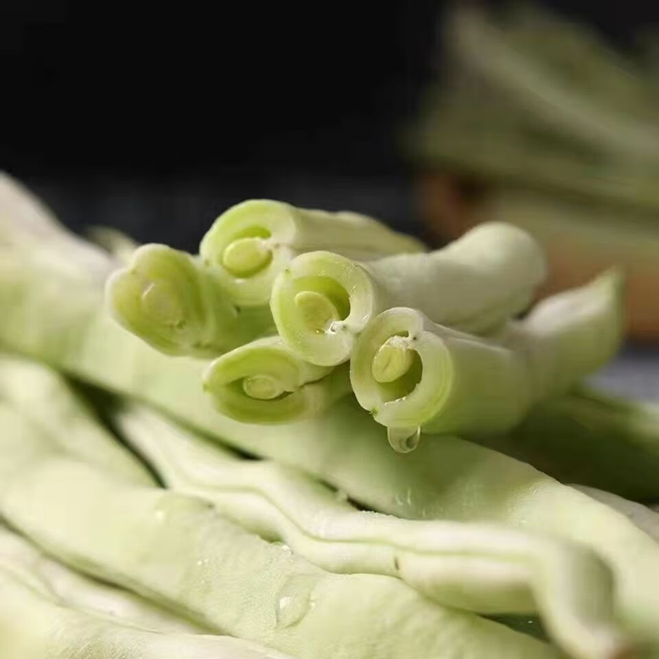 东北大白豆角四季豆新鲜白米豆白不老白芸豆云豆四季豆现摘无筋豆