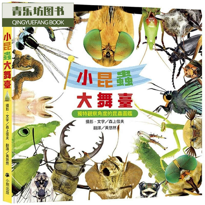 预售 小昆虫大舞台：独特观察角度的昆虫图鉴 小熊出版