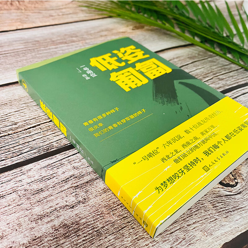 二手九九新正版 低姿匍匐 一号哨位六年沉淀 数十战友传奇经历 哨 e