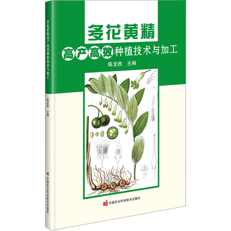 多花黄精高产高效种植技术与加工 陈龙胜 编 书籍 图书