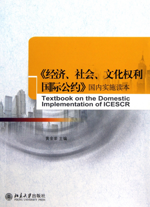 经济社会文化权利国际公约国内实施读本