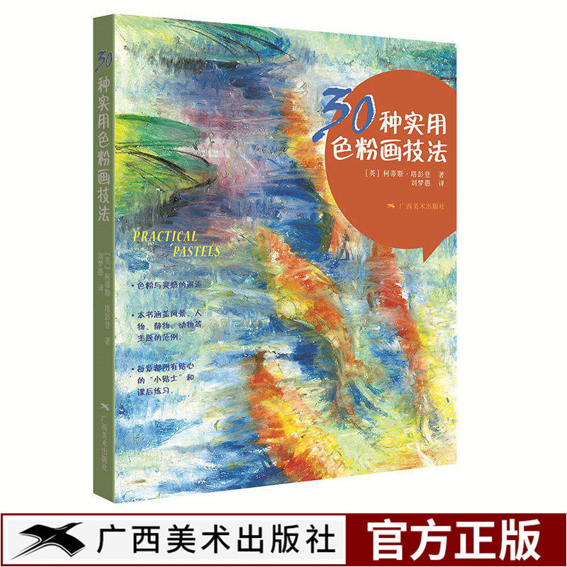 粉笔铅笔水彩色粉笔材料的特点及运用技巧解析初学者色绘画正版书籍