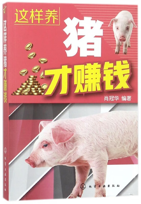 这样养猪才赚钱