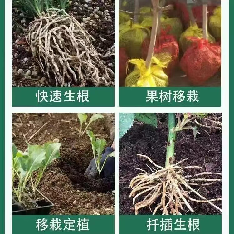 正品生根粉强力生根壮苗促生根护根系扎根深通用型移栽扦插 沃利丰生根粉10斤*4桶