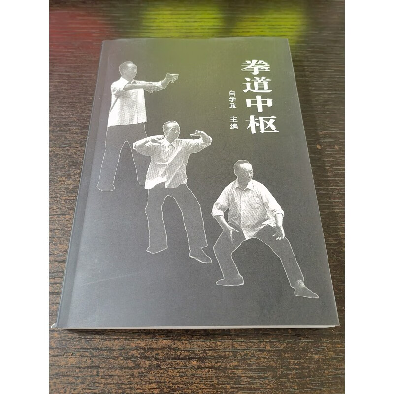 稀缺书籍 意拳中枢 32开本308页白学政主编软精装