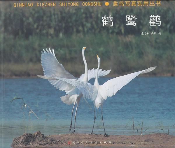 鹤鹭鹳党忠和摄影9787530548707 鸟类中国现代摄影集