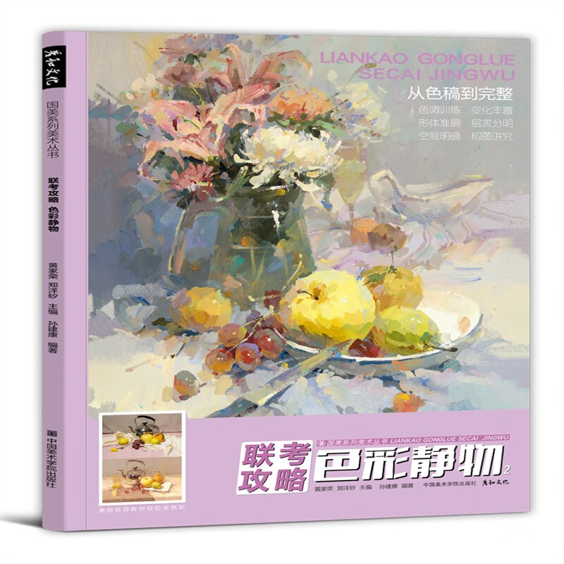 高考入门绘画技法书籍中国美院大师基础色调色稿对画训练习写生组合
