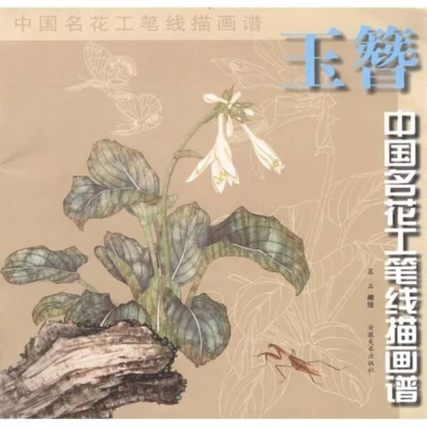 玉簪/中国名花工笔线描画谱9787539812717