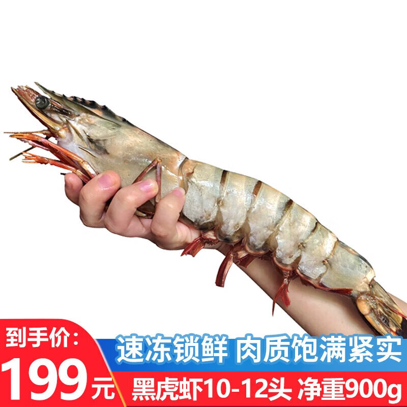 优牧冠 超大黑虎虾 净重900克10-12只 冷冻特大对虾巨型草虾大虾19-22cm