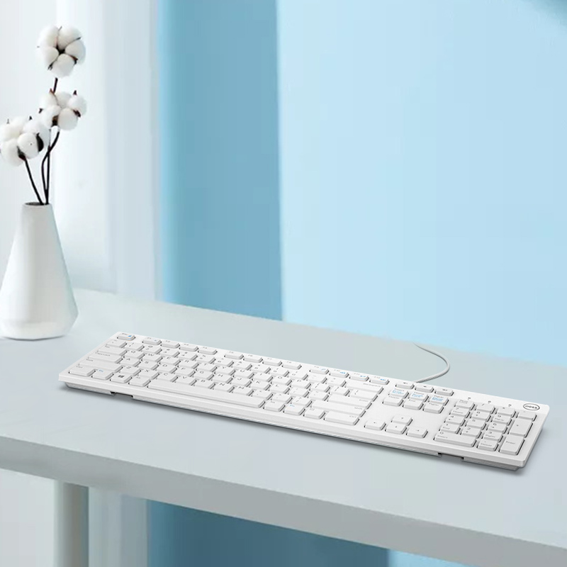 戴尔（DELL）KB216 键盘 有线  多媒体键盘 办公键盘 全尺寸键盘  即插即用  键盘（白色）