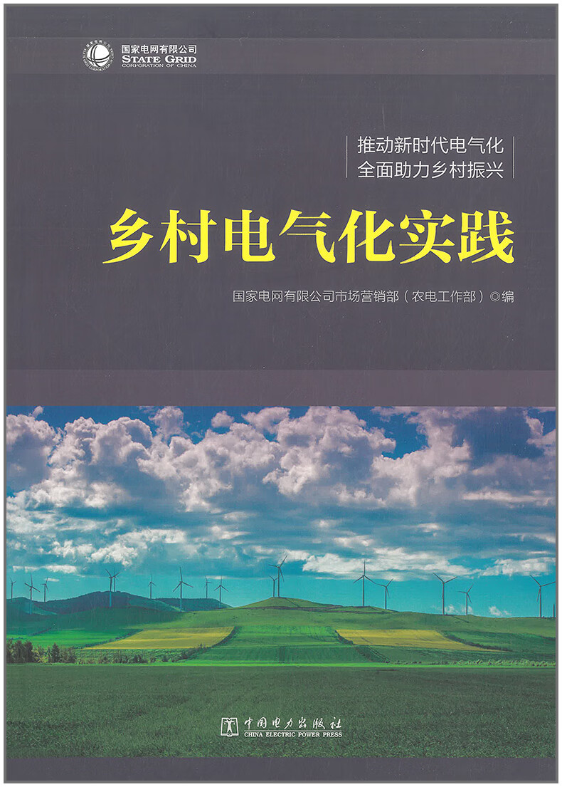 【正版现货】乡村电气化实践